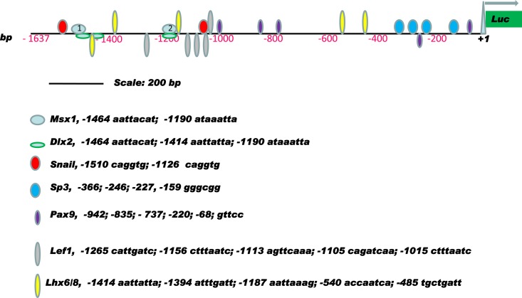 Fig 6