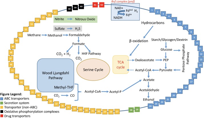 FIGURE 5