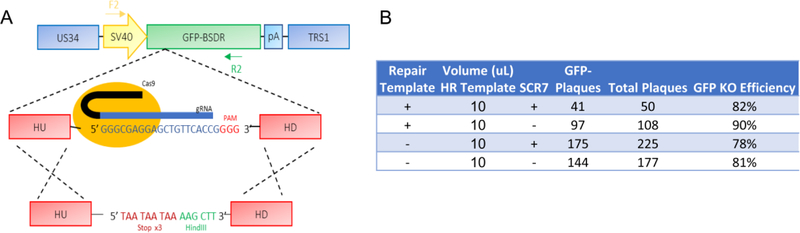 Figure 2: