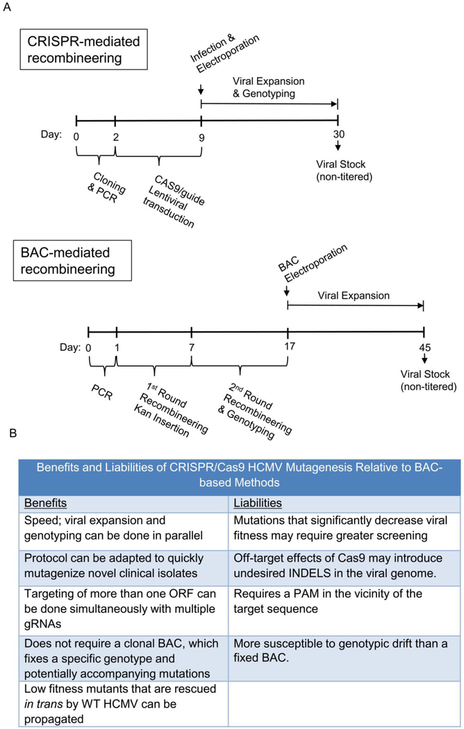 Figure 4: