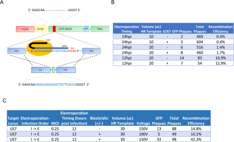 Figure 3: