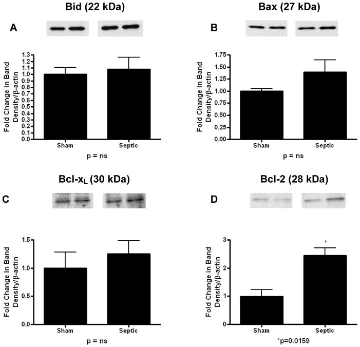 FIG 6