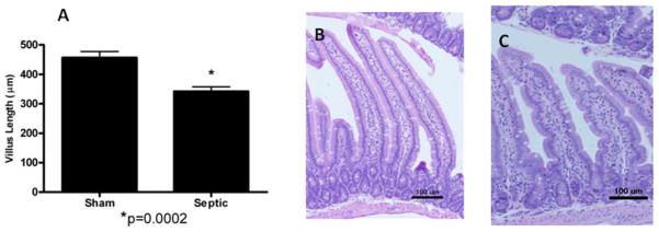 FIG. 9