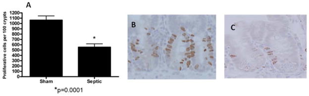 FIG. 8