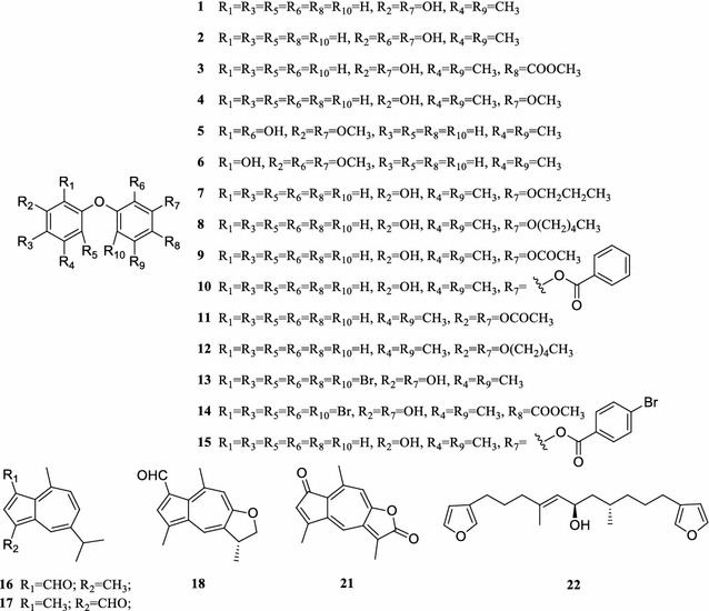 Fig. 1