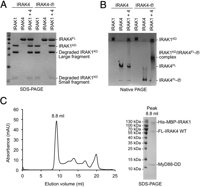 Fig. 6.