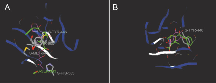 Fig. 7