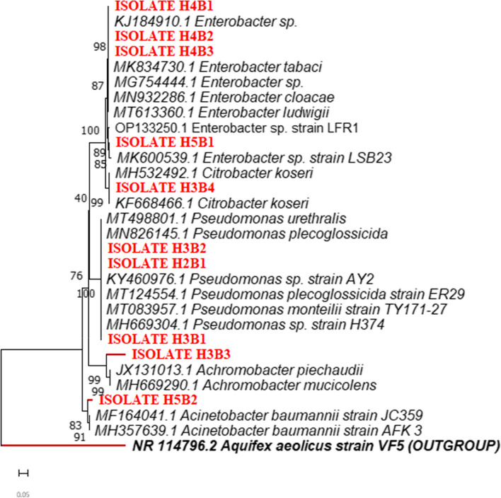 Fig. 3