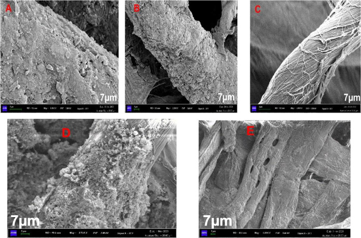 Fig. 8