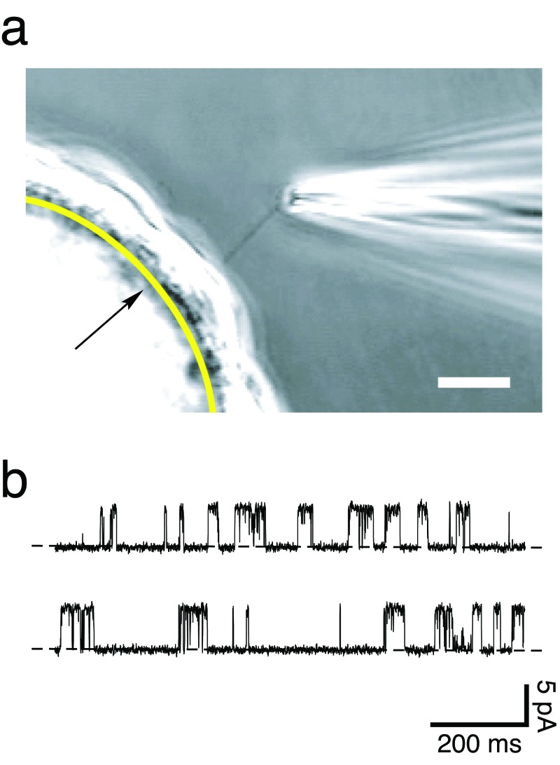 Figure 9.