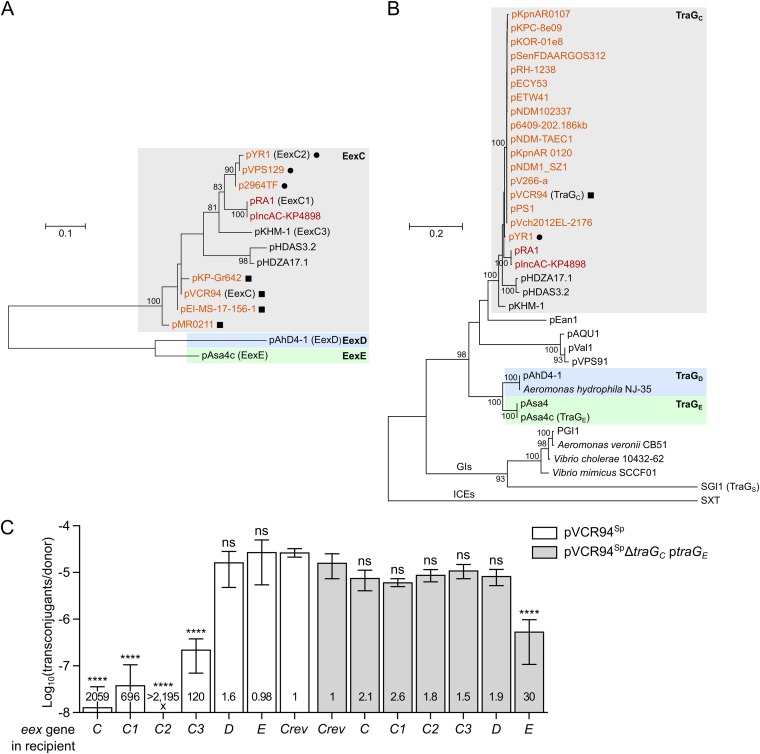 FIG 3