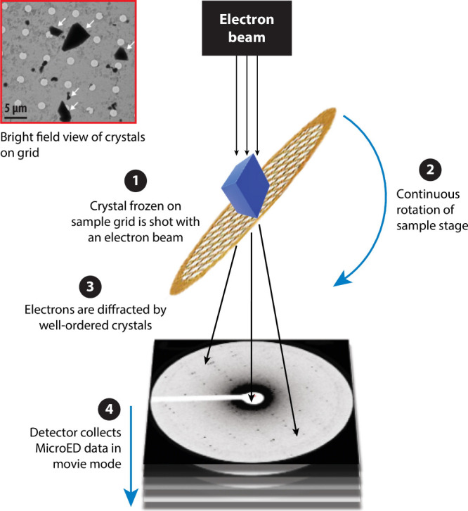 Figure 11