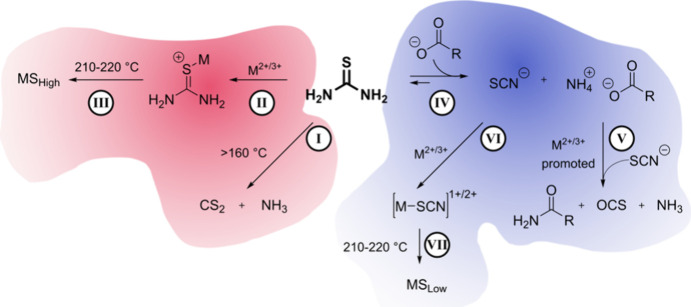 Scheme 3