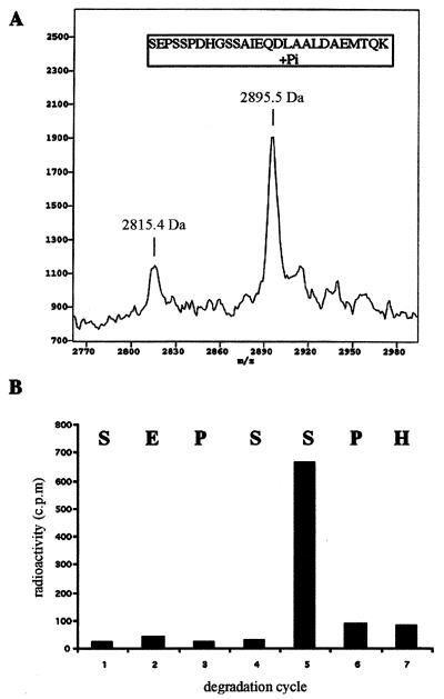 FIG. 6