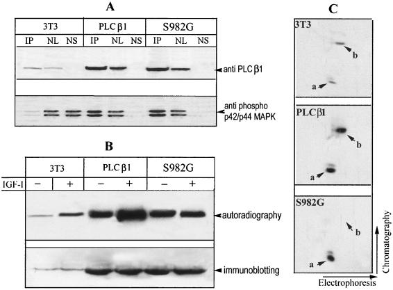 FIG. 9