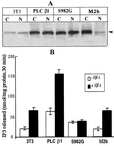 FIG. 7