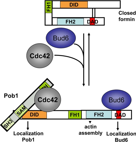 Figure 9.