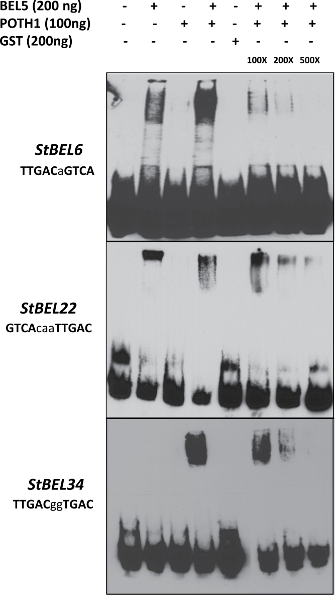 Fig. 9.