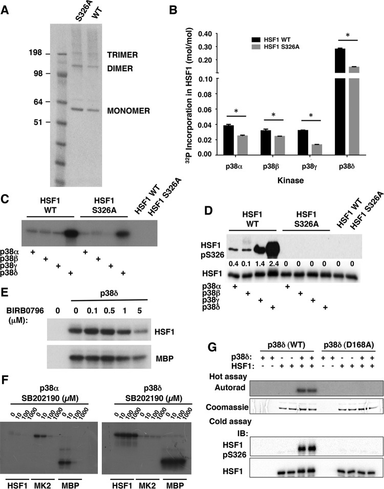 FIG 6