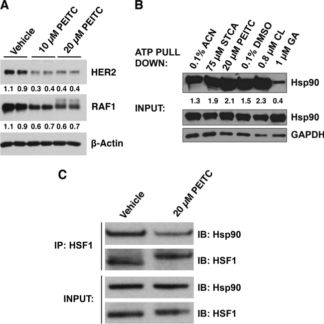 FIG 2