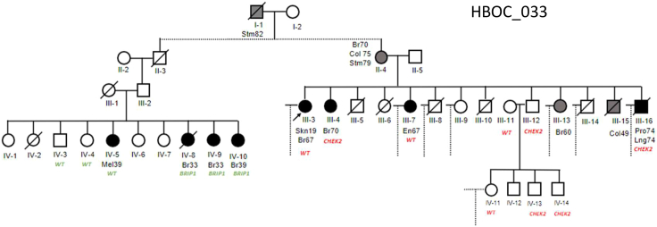 Figure 4