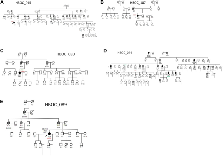 Figure 2