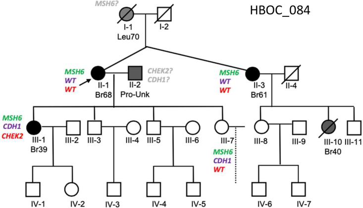 Figure 5