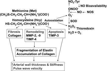 Fig. 10.