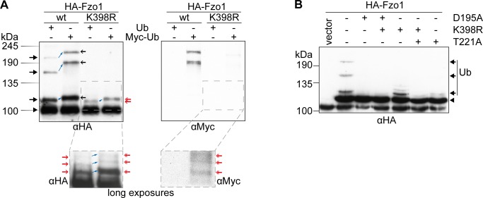 Figure S1.