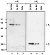 FIG. 5.