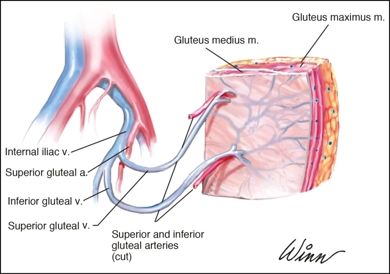 Figure 6.