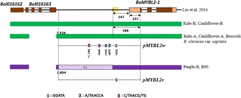 Fig. 9