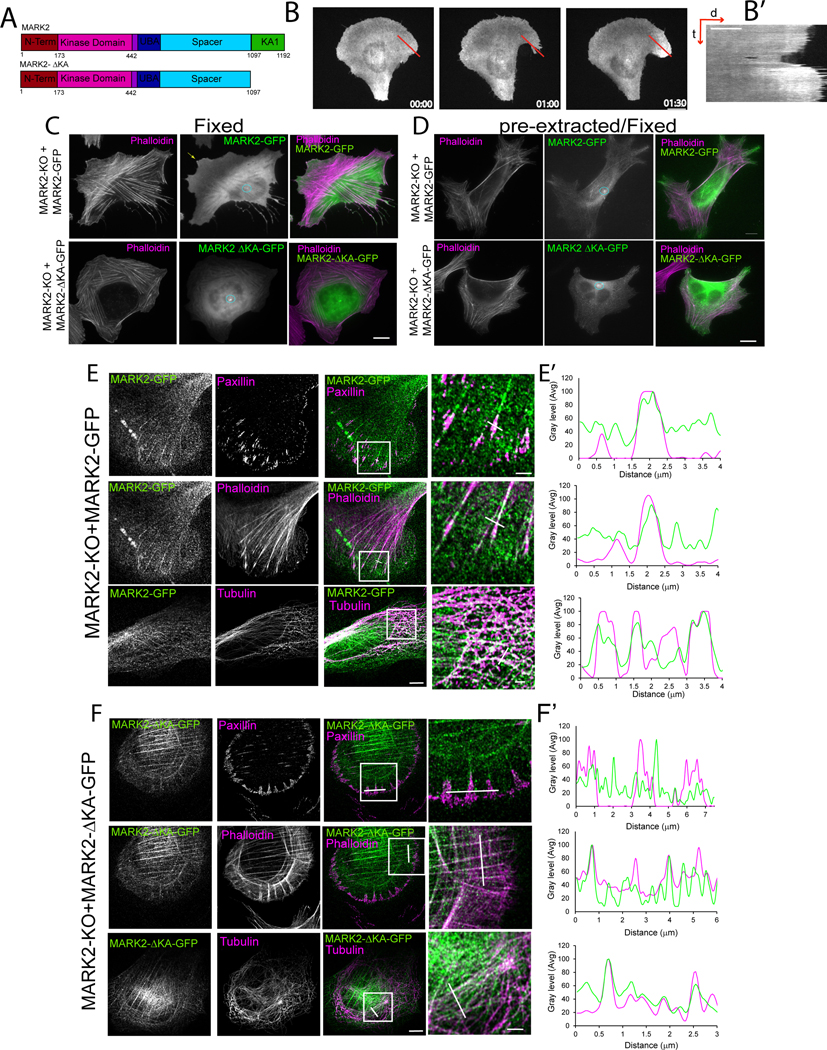 Figure 4: