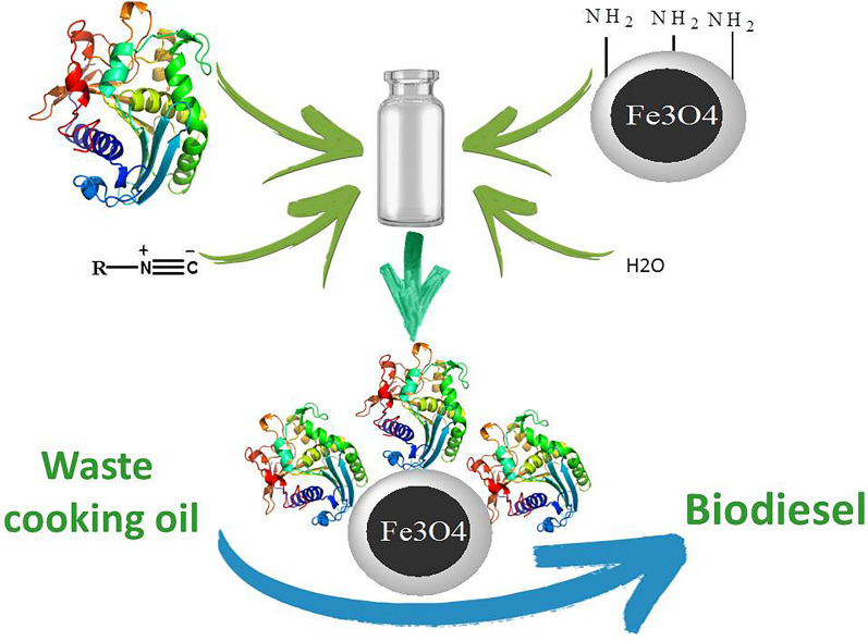 graphic file with name 40643_2022_552_Figa_HTML.jpg