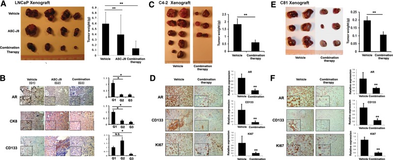 Figure 6