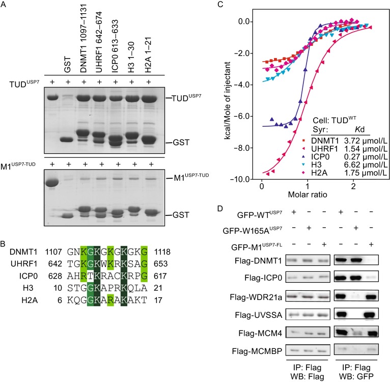 Figure 2