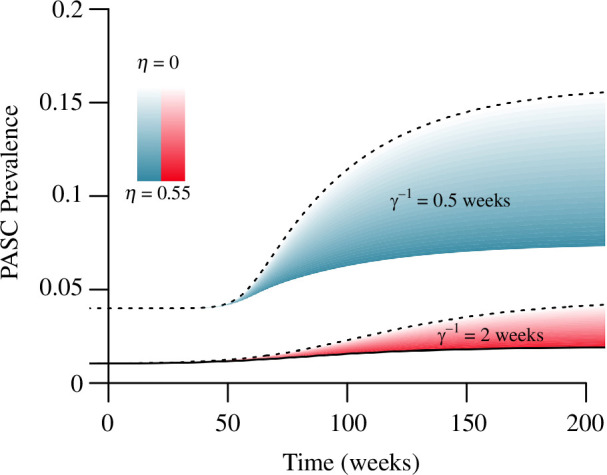 A larger mean duration of infection