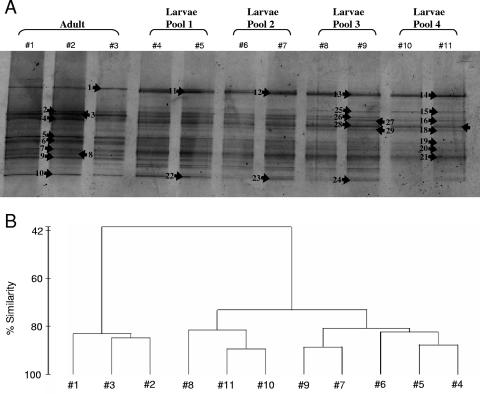 FIG. 5.