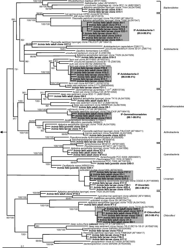 FIG. 8.