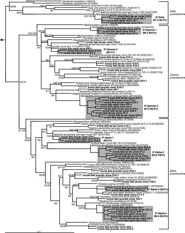 FIG. 7.