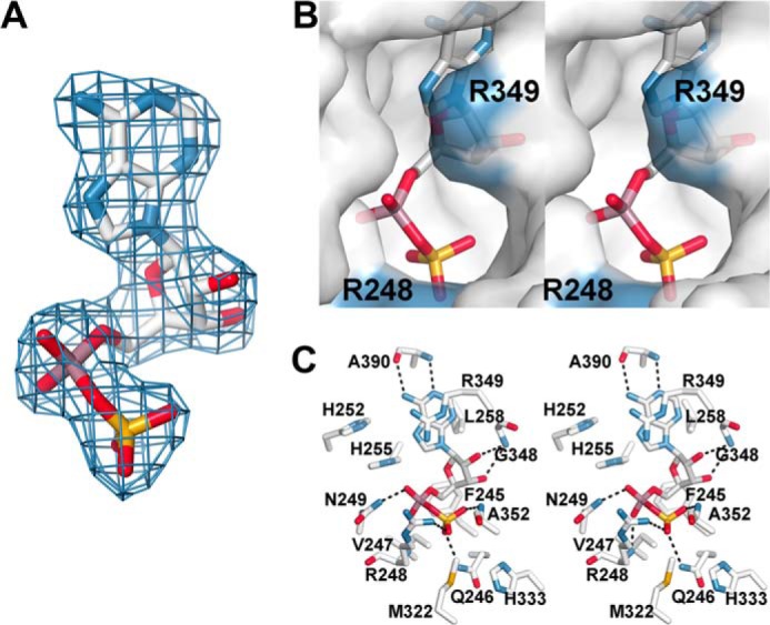 FIGURE 5.