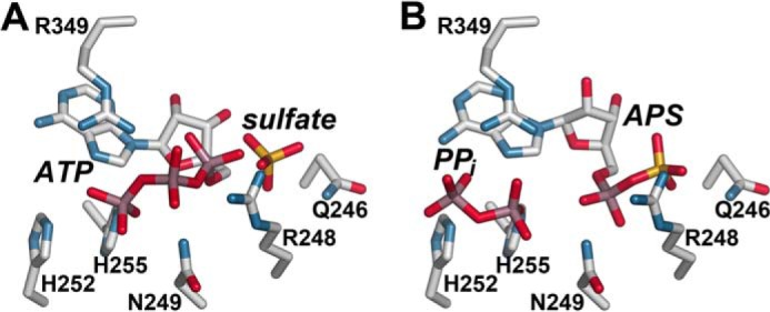 FIGURE 6.