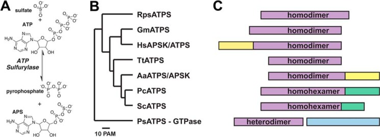 FIGURE 1.