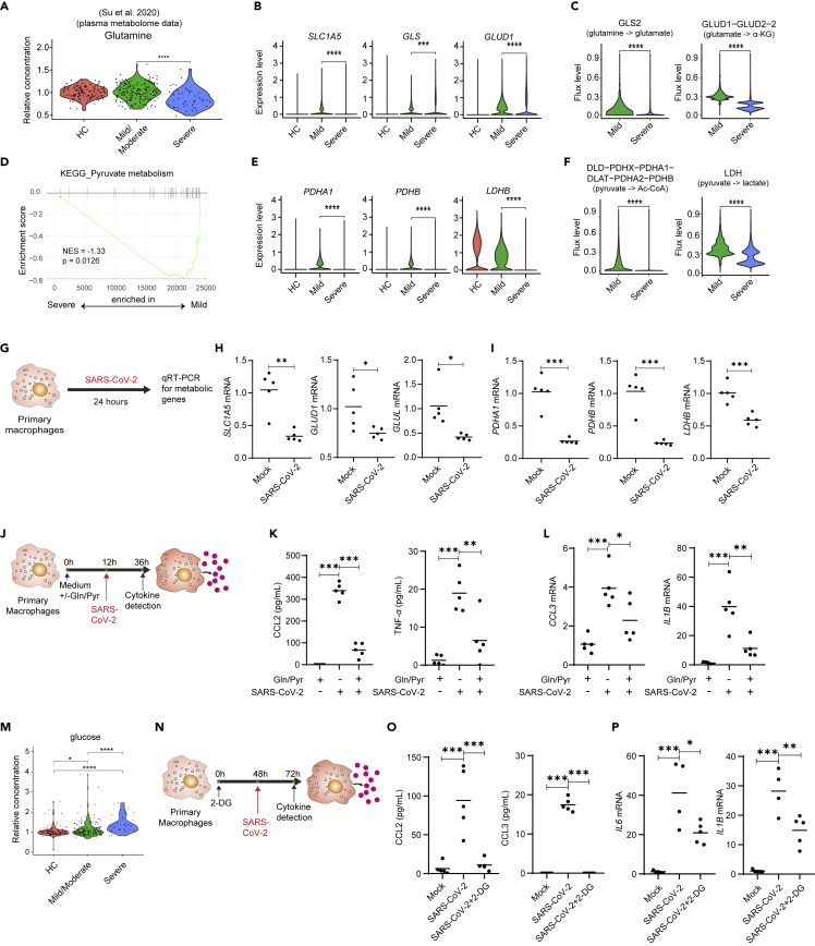 Figure 6