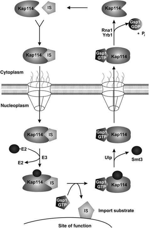 Figure 9