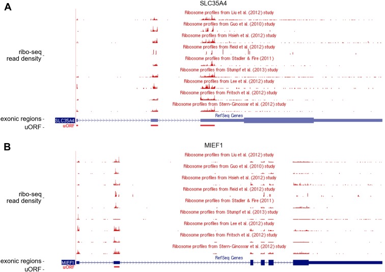 Figure 2—figure supplement 3.