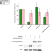 Figure 4—figure supplement 4.