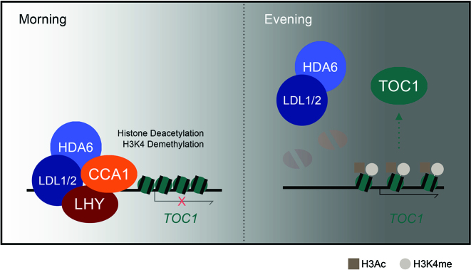 Figure 7.