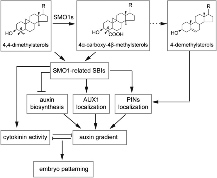 Figure 12.