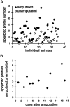 Fig. 11.